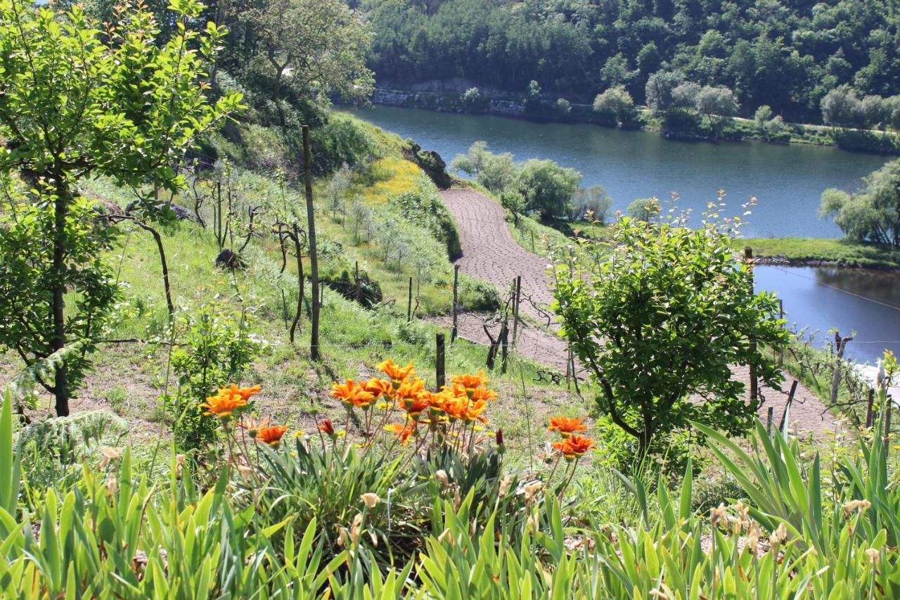"Bouca Drigues" Casa Antiga De Pedra Com Piscina E Vista Rio Villa Amarante Exteriör bild