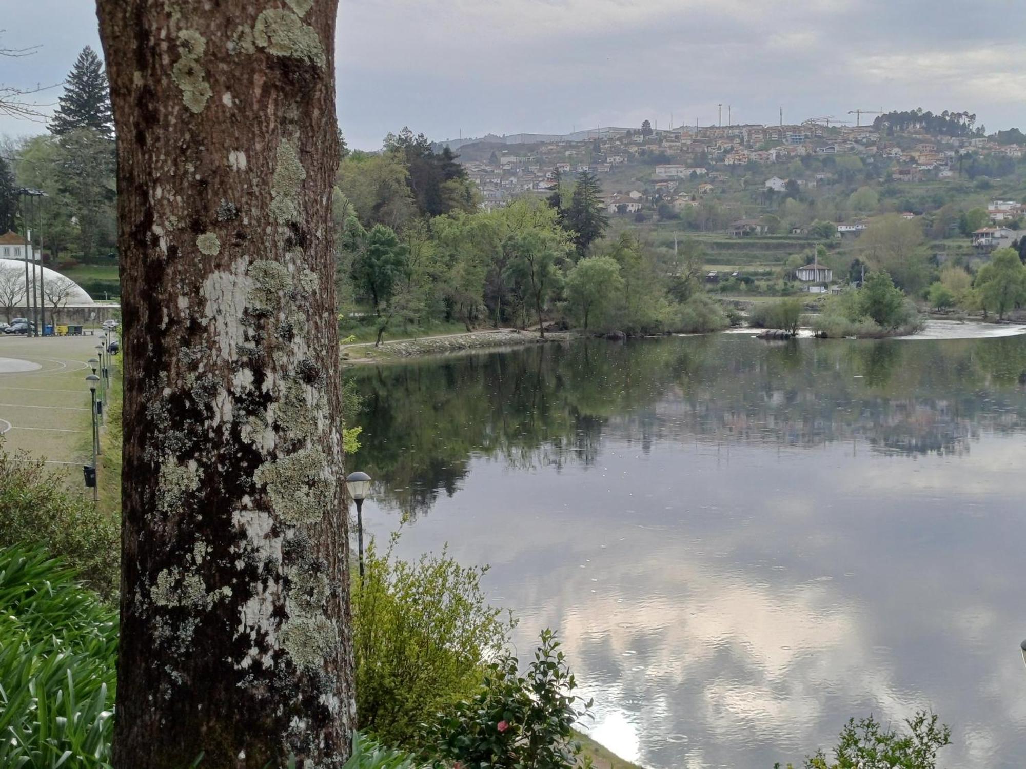 "Bouca Drigues" Casa Antiga De Pedra Com Piscina E Vista Rio Villa Amarante Exteriör bild